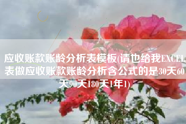 应收账款账龄分析表模板(请也给我EXCEL表做应收账款账龄分析含公式的是30天60天90天180天1年1)