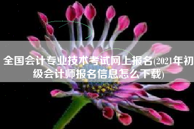 全国会计专业技术考试网上报名(2021年初级会计师报名信息怎么下载)