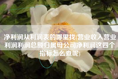 净利润从利润表的哪里找(营业收入营业利润利润总额归属母公司净利润这四个指标怎么查呢)