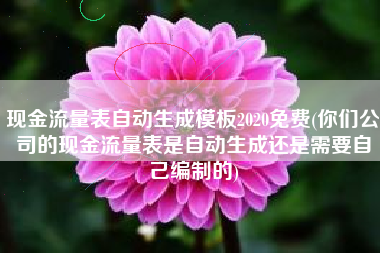现金流量表自动生成模板2020免费(你们公司的现金流量表是自动生成还是需要自己编制的)