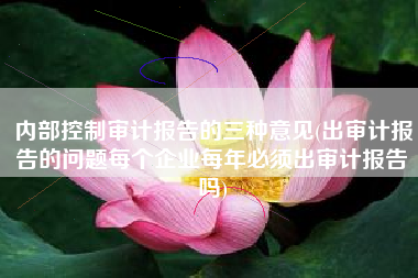 内部控制审计报告的三种意见(出审计报告的问题每个企业每年必须出审计报告吗)
