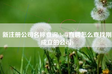 新注册公司名称查询(boss直聘怎么查找刚成立的公司)
