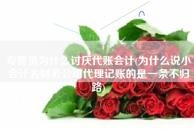 专管员为什么讨厌代账会计(为什么说小会计去财务公司代理记账的是一条不归路)