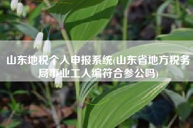 山东地税个人申报系统(山东省地方税务局事业工人编符合参公吗)