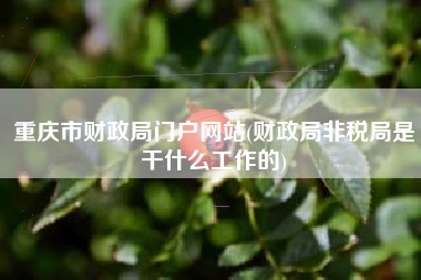 重庆市财政局门户网站(财政局非税局是干什么工作的)