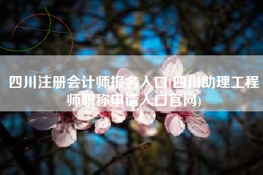 四川注册会计师报名入口(四川助理工程师职称申请入口官网)