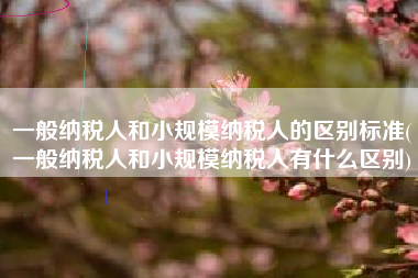 详细阅读:一般纳税人和小规模纳税人的区别标准(一般纳税人和小规模纳税人有什么区别) 一般纳税人和小规模纳税人的区别标准(一般纳税人和小规模纳税人有什么区别)