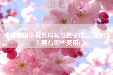 福建省国家税务局领导班子成员(买新车主要有哪些费用)
