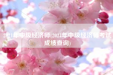 2021年中级经济师(2021年中级经济师考试成绩查询)
