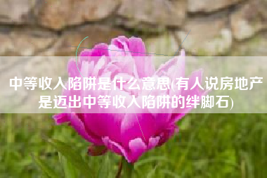 中等收入陷阱是什么意思(有人说房地产是迈出中等收入陷阱的绊脚石)