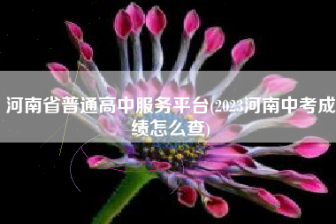 河南省普通高中服务平台(2023河南中考成绩怎么查)