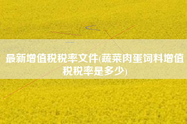 最新增值税税率文件(蔬菜肉蛋饲料增值税税率是多少)