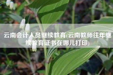 云南会计人员继续教育(云南教师往年继续教育证书在哪儿打印)