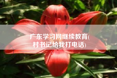 广东学习网继续教育(
村书记给我打电话)