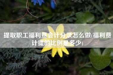 提取职工福利费会计分录怎么做(福利费计提的比例是多少)
