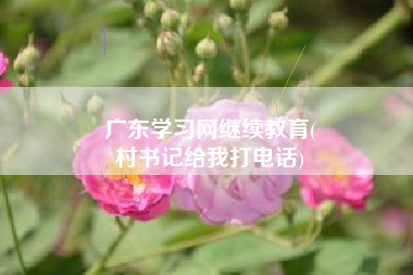 广东学习网继续教育(
村书记给我打电话)