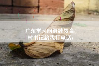 广东学习网继续教育(
村书记给我打电话)