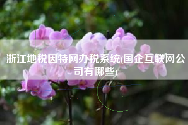 浙江地税因特网办税系统(国企互联网公司有哪些)