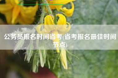 公务员报名时间省考(省考报名最佳时间节点)