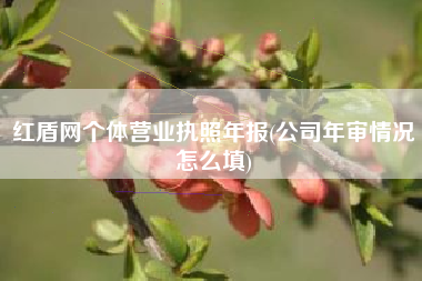红盾网个体营业执照年报(公司年审情况怎么填)