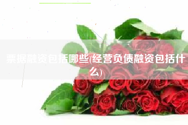 票据融资包括哪些(经营负债融资包括什么)