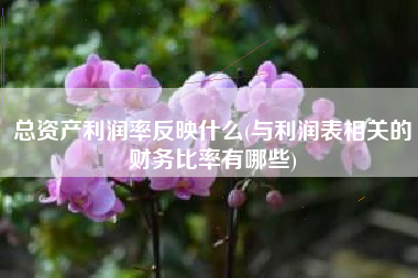 总资产利润率反映什么(与利润表相关的财务比率有哪些)