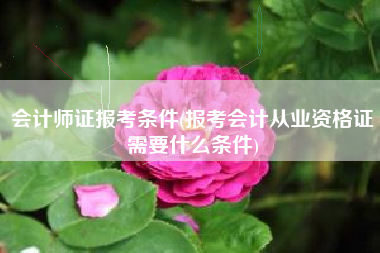 会计师证报考条件(报考会计从业资格证需要什么条件)