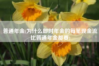 普通年金(为什么即时年金的每笔现金流比普通年金都要)
