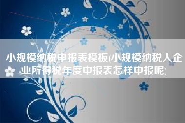 小规模纳税申报表模板(小规模纳税人企业所得税年度申报表怎样申报呢)