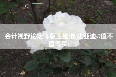 会计视野论坛陈版主是谁(比亚迪s7值不值得买)