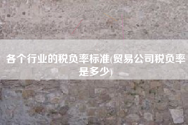 各个行业的税负率标准(贸易公司税负率是多少)