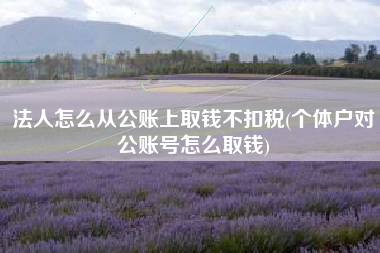 法人怎么从公账上取钱不扣税(个体户对公账号怎么取钱)