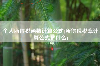 个人所得税函数计算公式(所得税税率计算公式是什么)