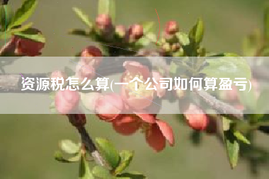 资源税怎么算(一个公司如何算盈亏)