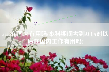 acca在国内有用吗(本科期间考到ACCA对以后在国内工作有用吗)