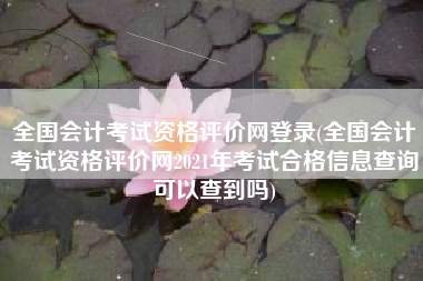 全国会计考试资格评价网登录(全国会计考试资格评价网2021年考试合格信息查询可以查到吗)