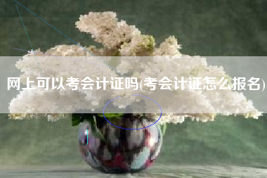网上可以考会计证吗(考会计证怎么报名)