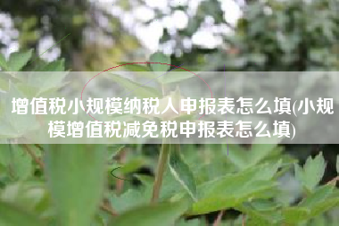 增值税小规模纳税人申报表怎么填(小规模增值税减免税申报表怎么填)