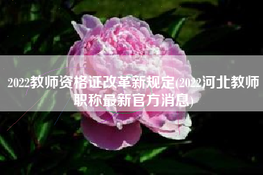 2022教师资格证改革新规定(2022河北教师职称最新官方消息)