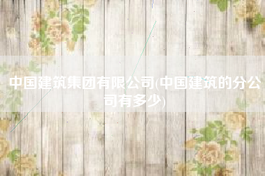 中国建筑集团有限公司(中国建筑的分公司有多少)