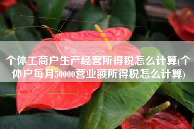 个体工商户生产经营所得税怎么计算(个体户每月50000营业额所得税怎么计算)