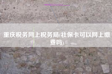 重庆税务网上税务局(社保卡可以网上缴费吗)