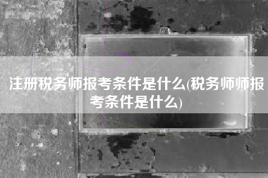 注册税务师报考条件是什么(税务师师报考条件是什么)