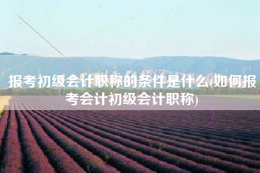 报考初级会计职称的条件是什么(如何报考会计初级会计职称)