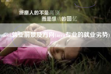 acca就业前景及方向(acca专业的就业劣势)