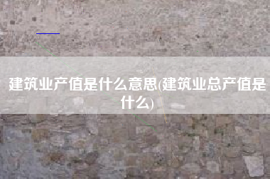 建筑业产值是什么意思(建筑业总产值是什么)