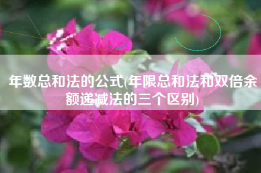 年数总和法的公式(年限总和法和双倍余额递减法的三个区别)