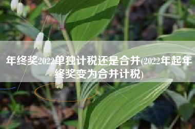 详细阅读:年终奖2022单独计税还是合并(2022年起年终奖变为合并计税) 年终奖2022单独计税还是合并(2022年起年终奖变为合并计税)