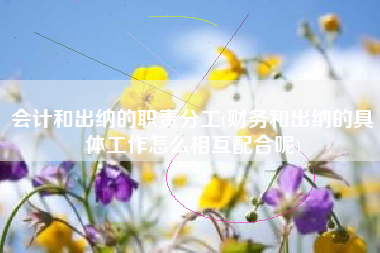 会计和出纳的职责分工(财务和出纳的具体工作怎么相互配合呢)