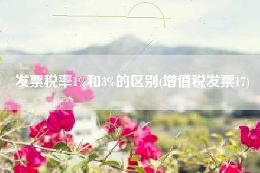 发票税率1%和3%的区别(增值税发票17)